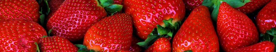 dans les fraises